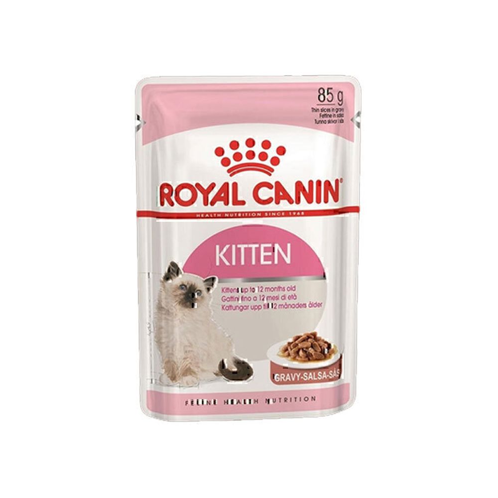 پوچ رویال کنین بچه گربه