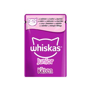 پوچ ویسکاس بچه گربه