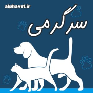 سرگرمی